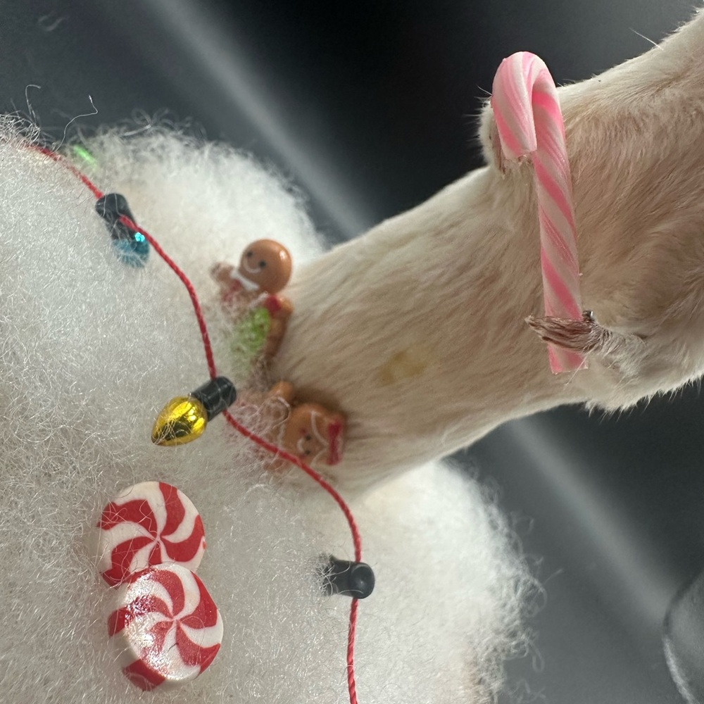 Festive Small Pet Decor with Pink Hat Taxidermy Real OOAK - Picture 5 of 6